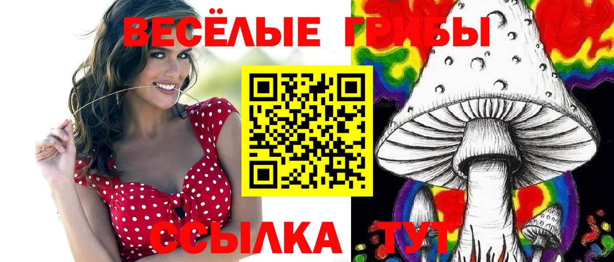 Псилоцибиновые грибы Psilocybe Ступино