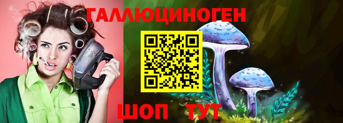 Ступино  Псилоцибиновые грибы мицелий  Вход с VPN 